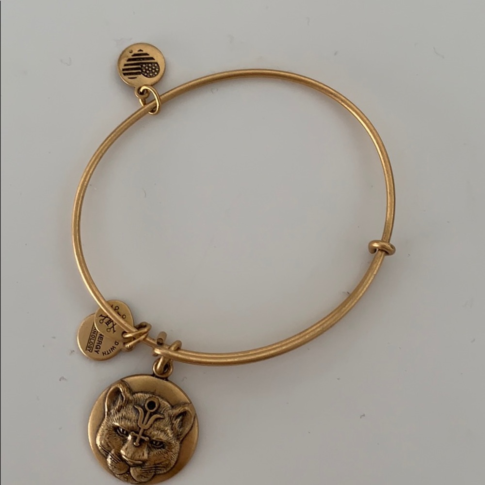 Alex and Ani “Wild at Heart” bracelet